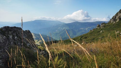 Scenic view of mountains