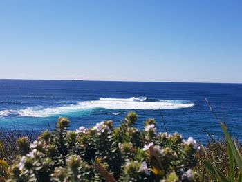 Scenic view of sea against clear sky