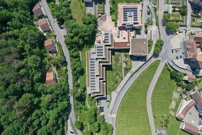 High angle view of road amidst trees