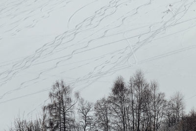 Low angle view of bare trees against clear sky