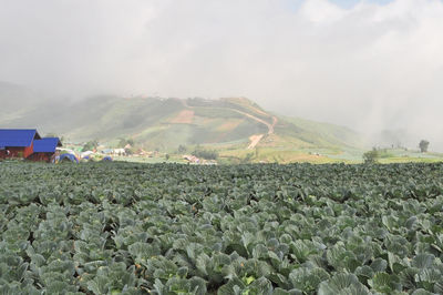 Panoramic view of landscape against sky during foggy weather