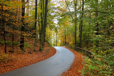 Road amidst trees in forest during autumn