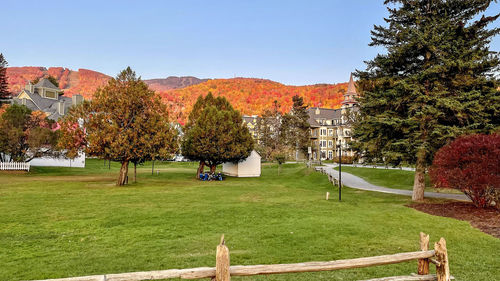 Trees in park during autumn