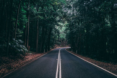 Empty road amidst trees in forest