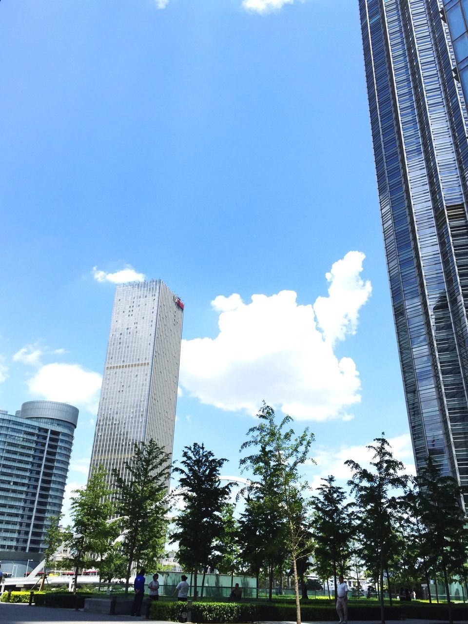 building exterior, architecture, built structure, skyscraper, modern, city, low angle view, office building, sky, tree, tall - high, blue, tower, glass - material, cloud, cloud - sky, building, growth, day, reflection