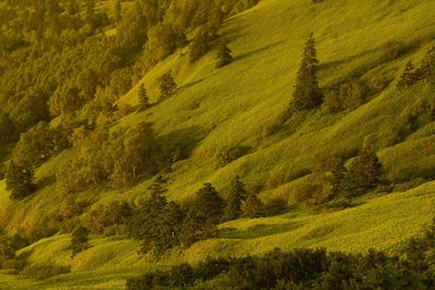 Scenic view of landscape