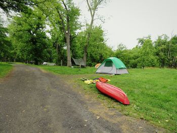 Tent in park against sky