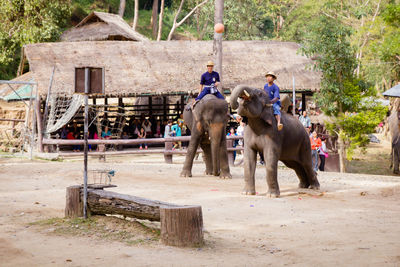 Group of people on land