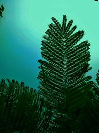 Low angle view of trees against sky