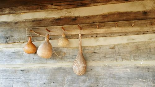 Dried squashes hanging from hooks on wooden wall