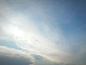 Low angle view of bird flying in sky