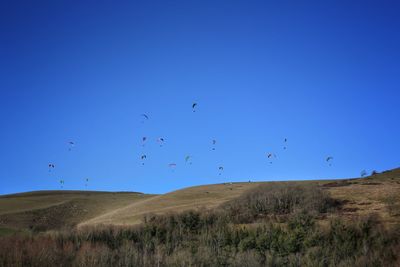 Birds flying over landscape against clear blue sky
