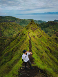 Rear view of man sitting on grass