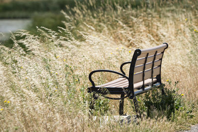 Empty bench in park