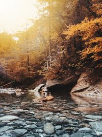 River flowing through rocks in forest