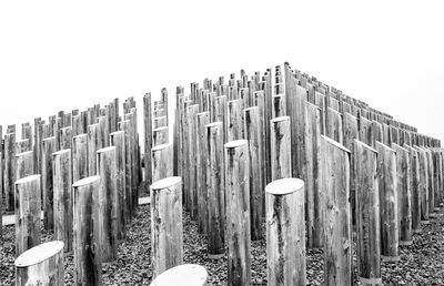 Wooden posts against clear sky