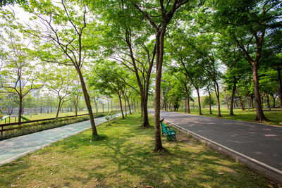 Rear view of woman walking in park