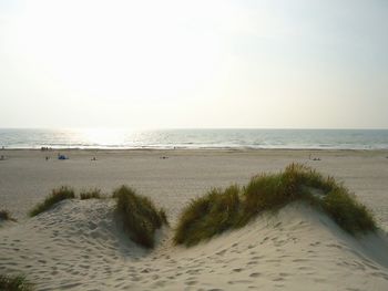 Scenic view of beach against clear sky