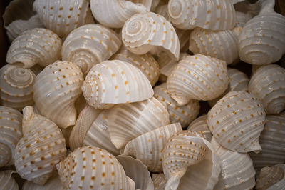 Full frame shot of onions for sale in market