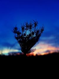 Close-up of silhouette tree against sky at sunset