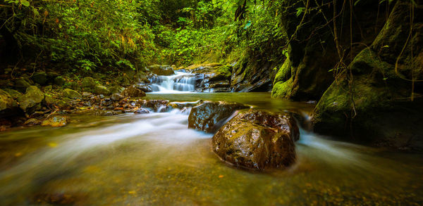 Stream flowing through rocks in forest