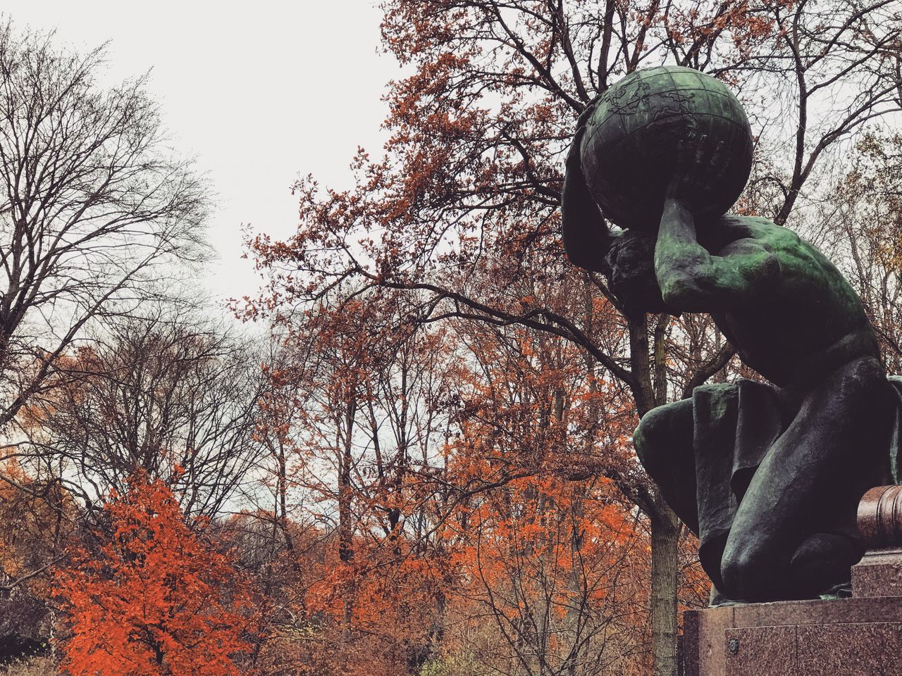 LOW ANGLE VIEW OF MAN AGAINST TREE