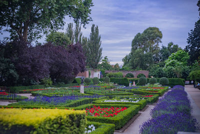 Plants growing in park