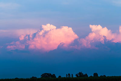 Low angle view of silhouette trees against sky