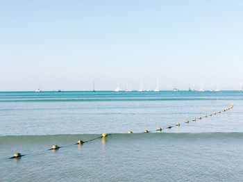 Buoys attached to rope floating in sea