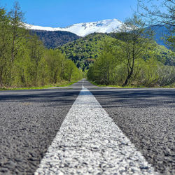 Surface level of road by trees against sky