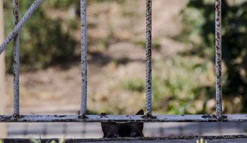 Close-up of metal structure