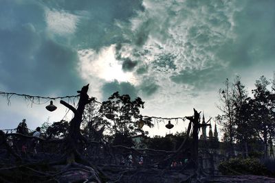 High section of trees against sky