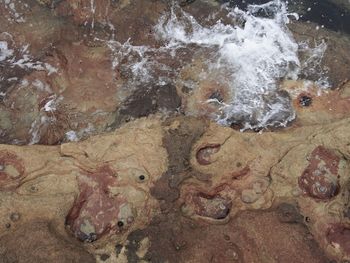 High angle view of water flowing through rocks