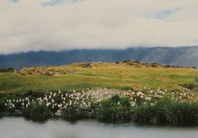 Scenic view of lake against sky