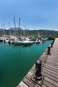 Sailboats moored at harbor