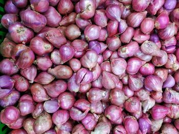 Full frame shot of onions for sale at market stall