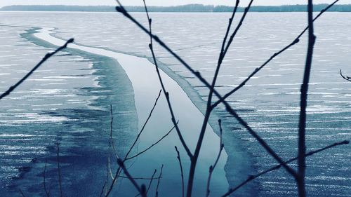 Plants against river stream during winter