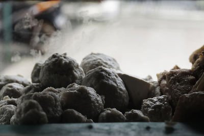 Close-up of food