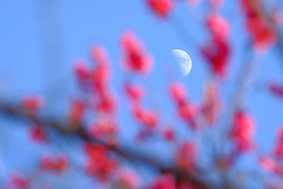 Low angle view of moon against sky