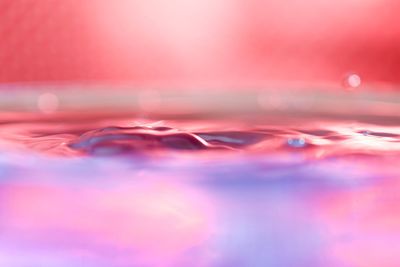 Close-up of pink petals