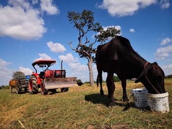 rural area