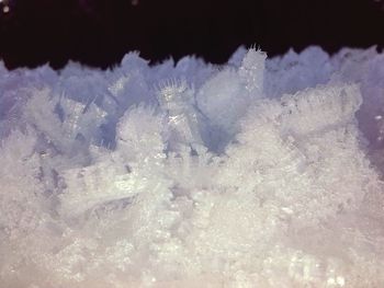 Close-up of ice