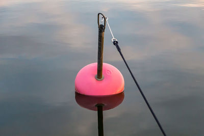 High angle view of pink floating on lake