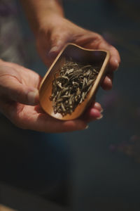 Close-up of hand holding tobacco products