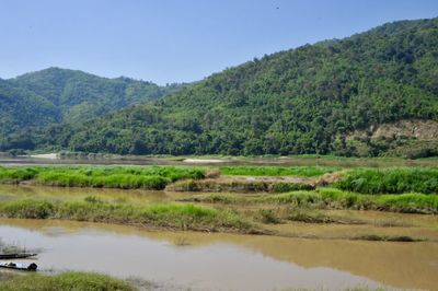 Scenic view of lake against clear sky