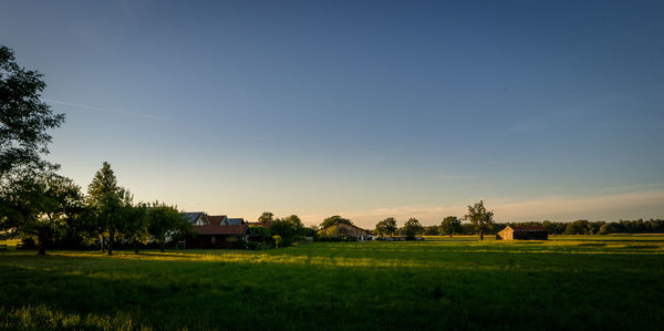 Scenic view of field against clear sky