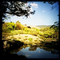 Scenic view of lake in forest against sky