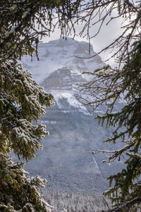 Scenic view of snow covered mountains