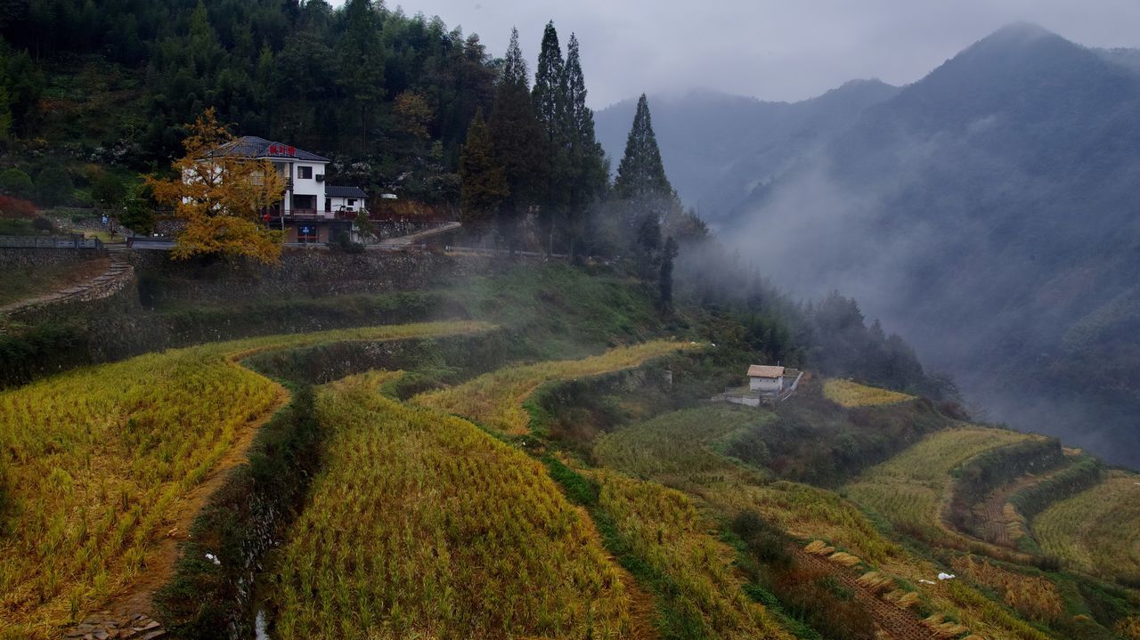 mountain, plant, architecture, built structure, tree, scenics - nature, landscape, environment, building exterior, nature, beauty in nature, fog, land, building, tranquil scene, day, mountain range, tranquility, no people, house, outdoors