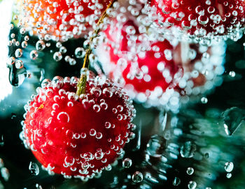 Close-up of christmas decoration